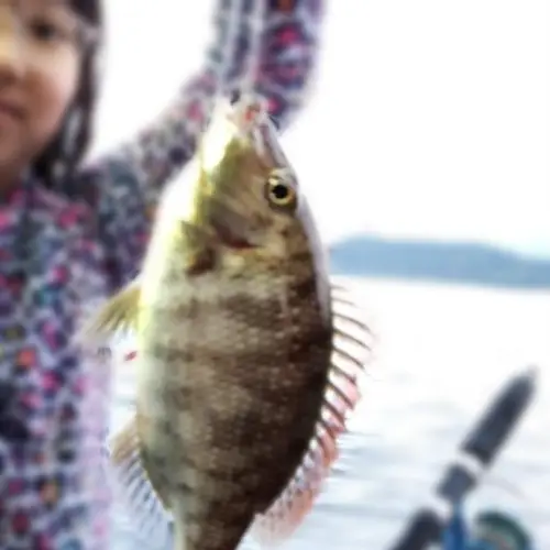 코타키나발루 캡틴 찰리 피싱 투어: 한국인가이드와 함께 즐긴 환상적인 하루!